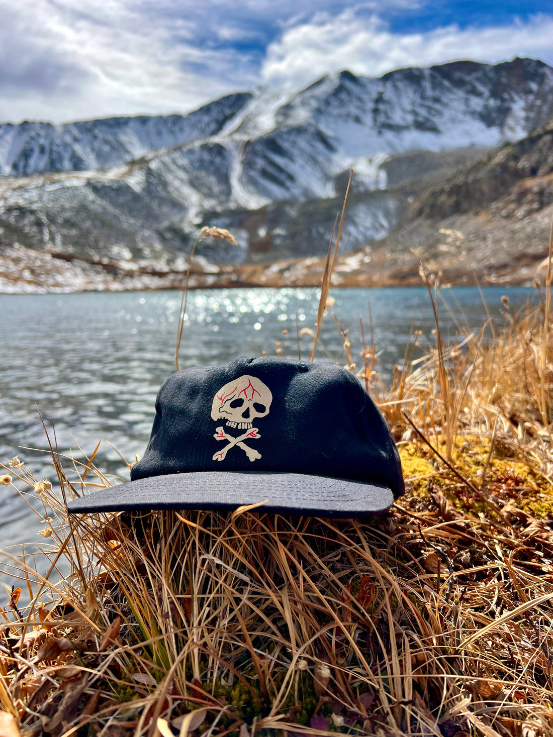 Screen Printed Skull Hat