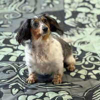 Butterfly Lady Picnic Blanket