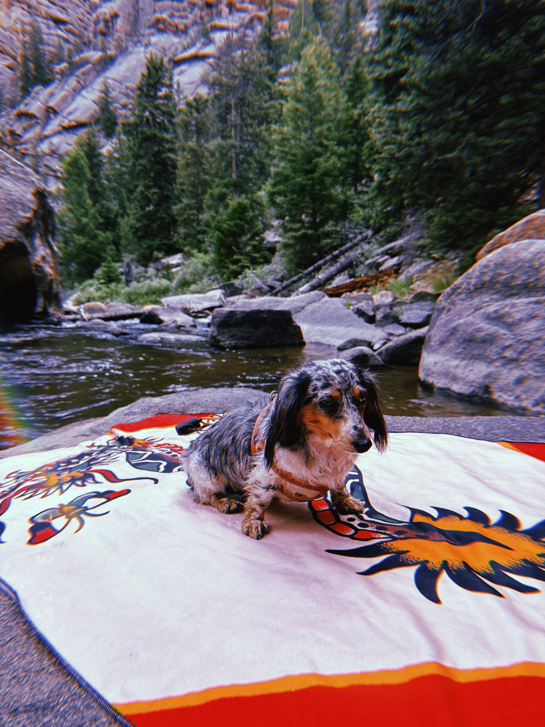 DRAGON TOWEL