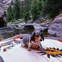 DRAGON TOWEL