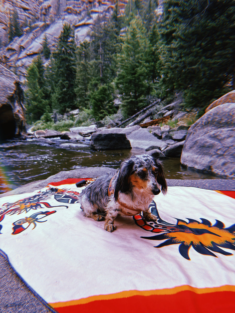 DRAGON TOWEL