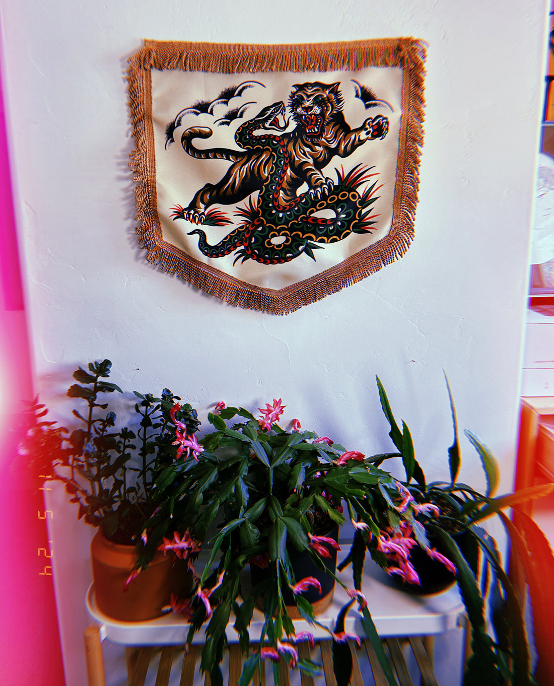 Tiger and Snake / Zach Nelligan Banner