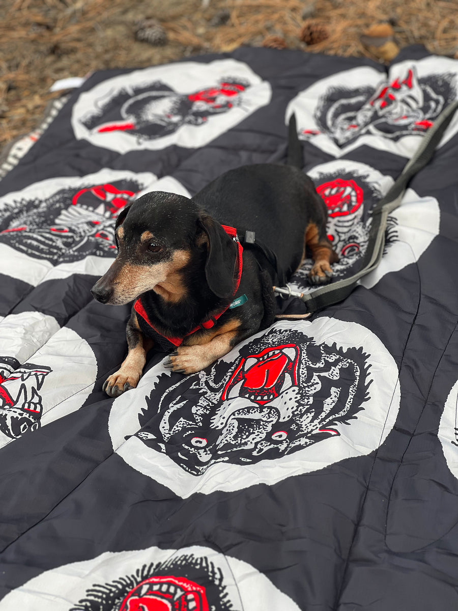 Animal Camp Blanket