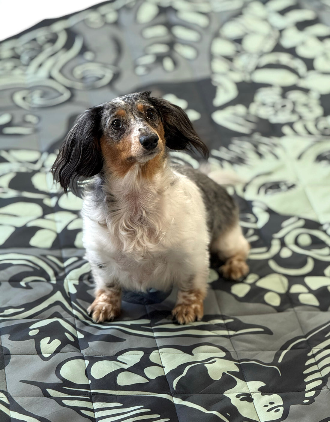 Butterfly Lady Picnic Blanket