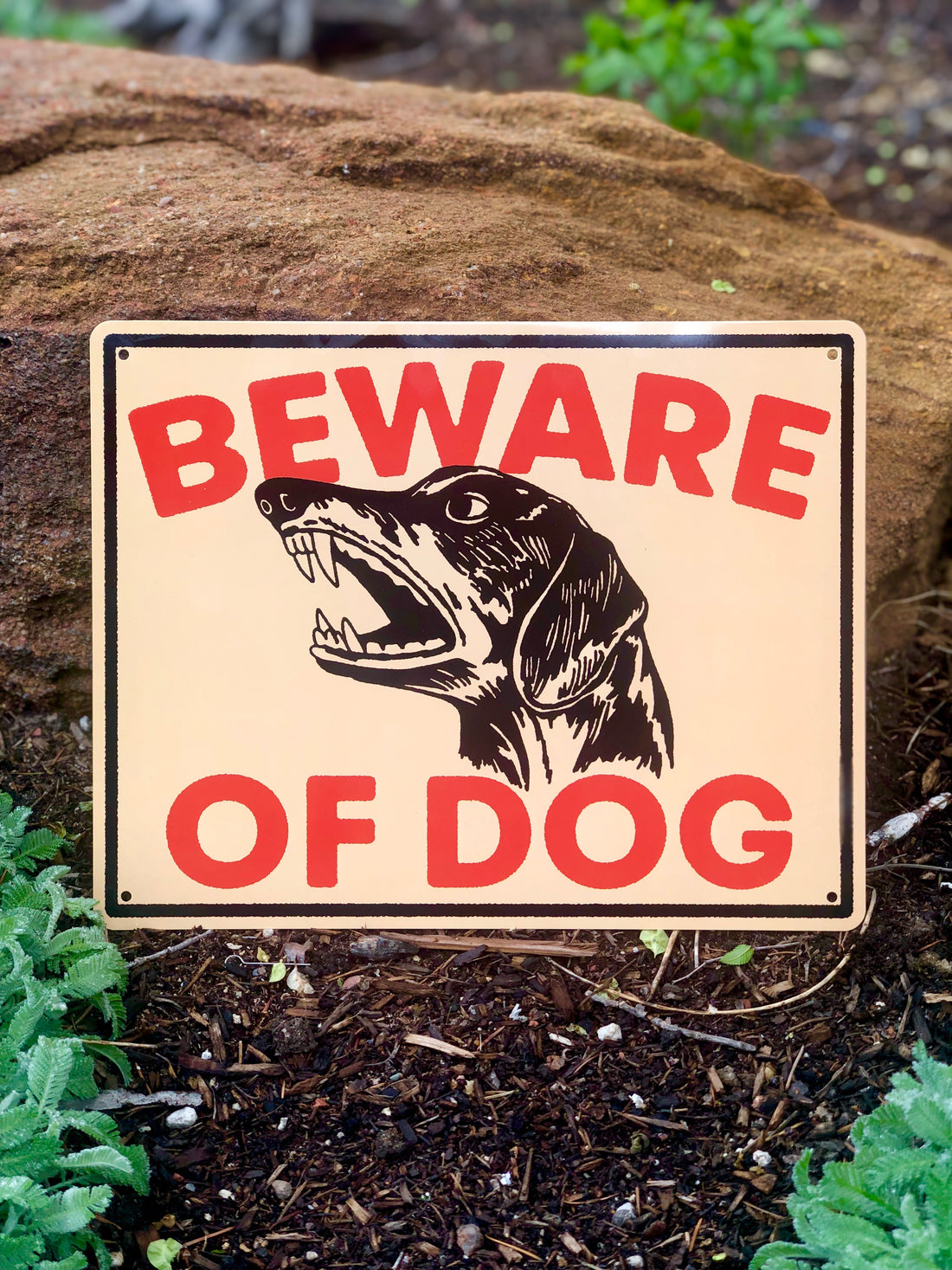 Beware of Dachshund Metal Sign | YBP X Mike Suarez