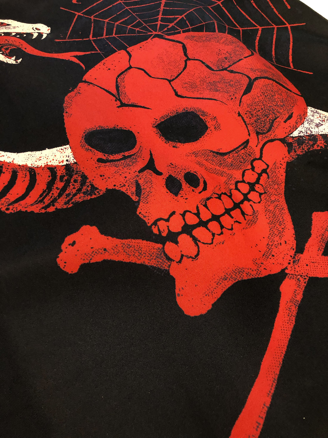 Skull and Snake Banner
